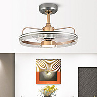 Restaurant modern electric fan light