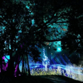 Luminescent Ambient Landscape Light