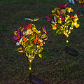 Solar powered courtyard luminous butterfly flower lamp lawn lamp