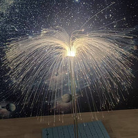 烟花庭院装饰LED灯带