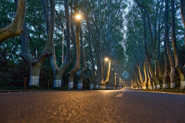 光控一体式路灯实现智能道路照明