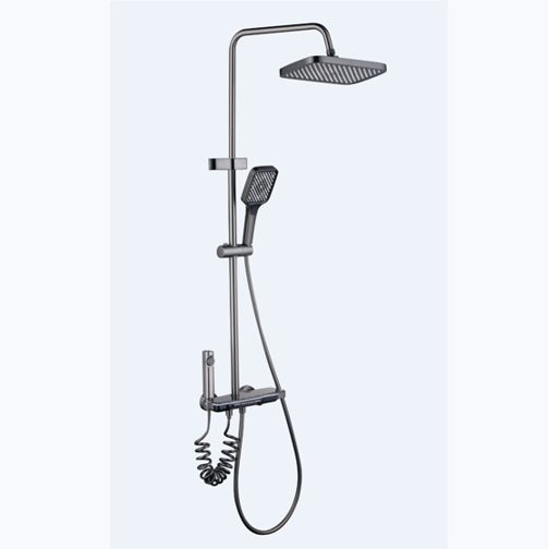 Advanced Grey simple shower