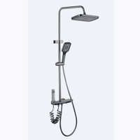 Advanced Grey simple shower