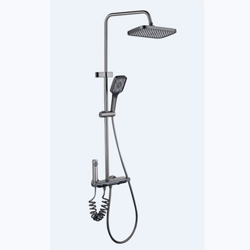 Advanced Grey simple shower