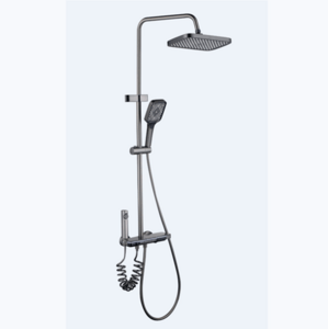 Advanced Grey simple shower