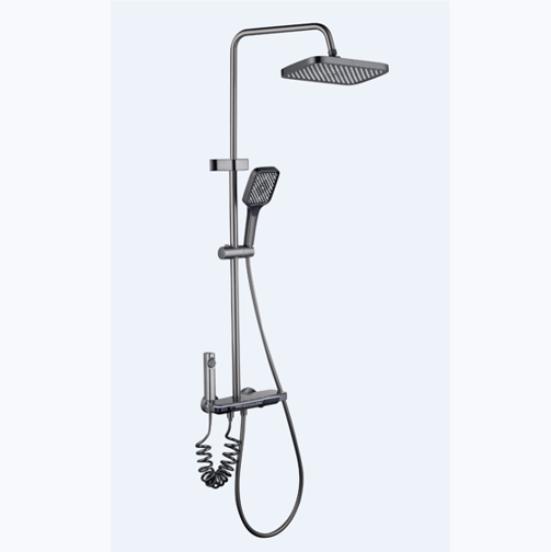 Advanced Grey simple shower