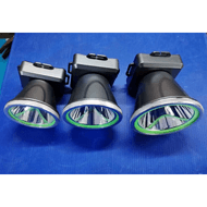 Multi-specification strong emitted headlights