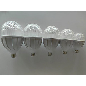 Household LED Screw Bulb
