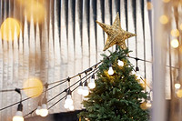 Occasions LED Multi-Color Star Light Strips Are Suitable For