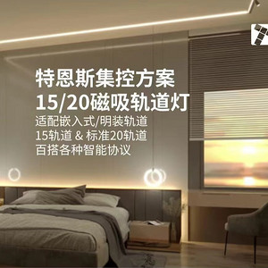 智能磁吸轨道灯