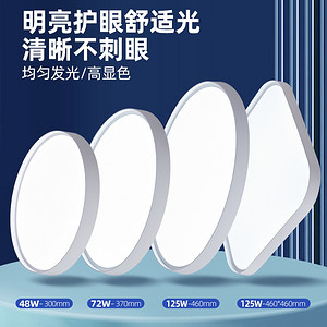 LED Minimalist Modern Ceiling Light