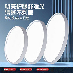 Main lighting ceiling lamp for the bedroom