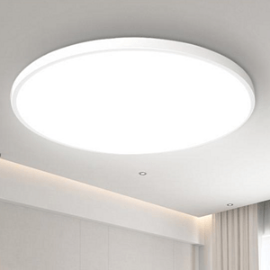 简约圆形吸顶灯