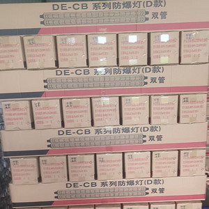 简约双管防爆灯