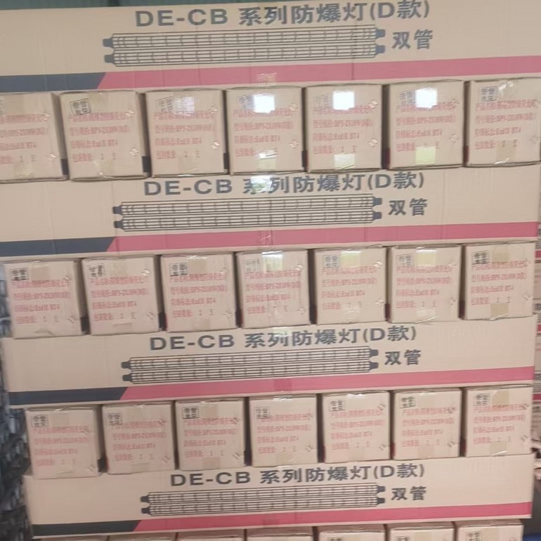 简约双管防爆灯