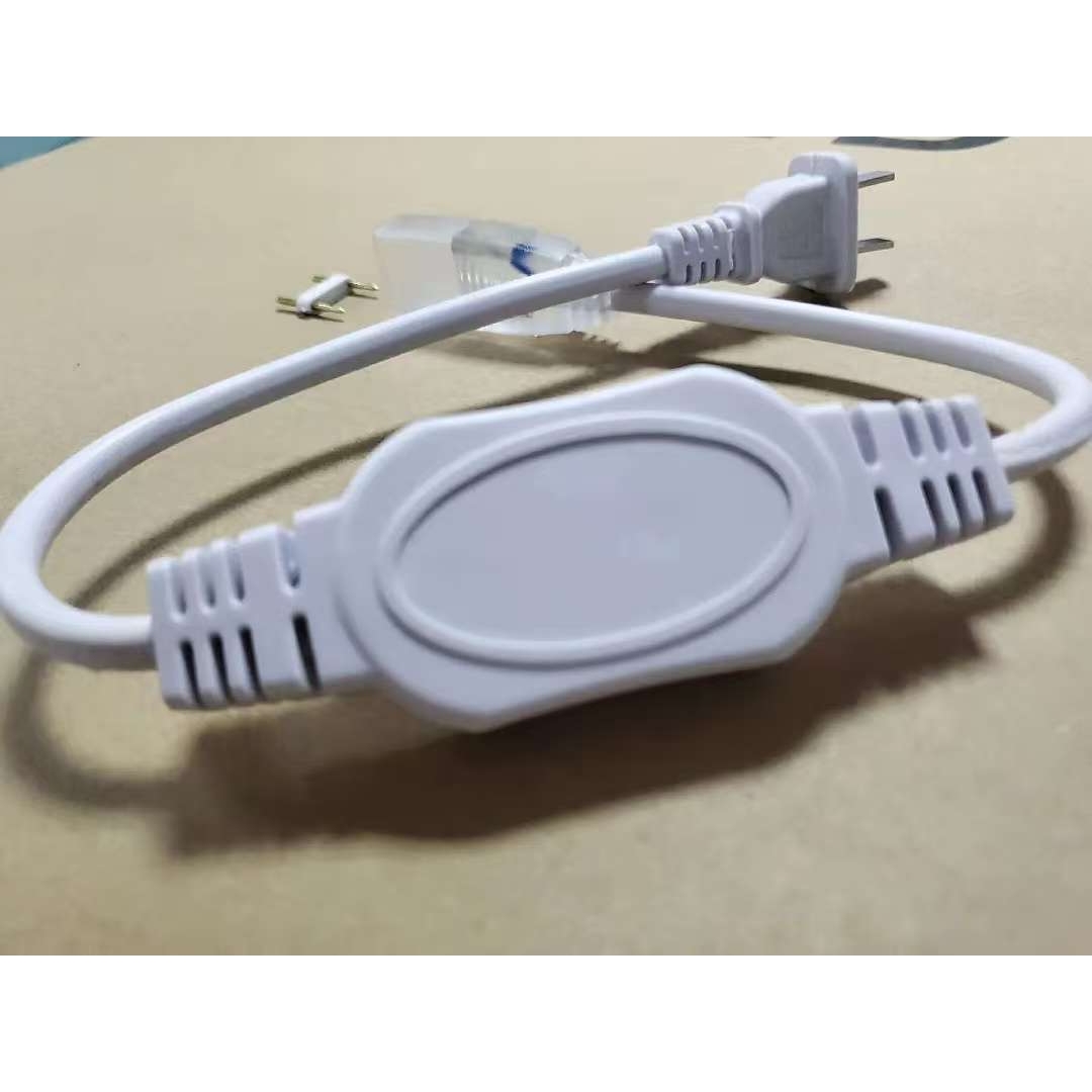LED strip light power supply plug
