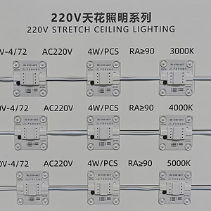 220V天花板照明系列灯珠