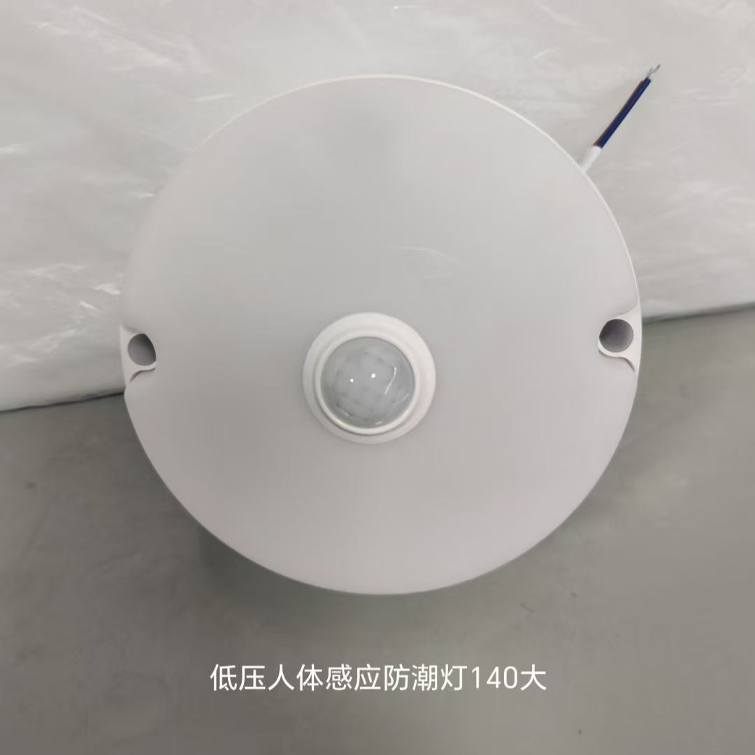 低压人体感应防潮灯走廊过道