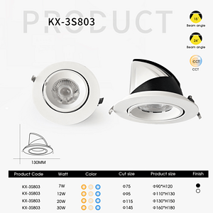 Angle-Adjustable Trunk-Type Wall Washer Spotlight