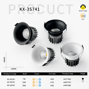Large Aperture Wide-Beam Wall Washer Spotlight