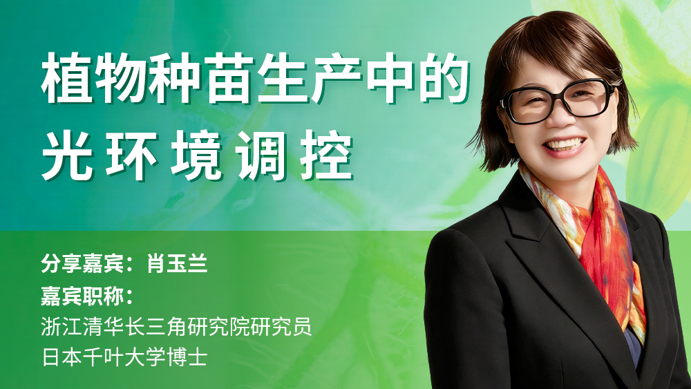 肖玉兰：植物种苗生产中的光环境调控