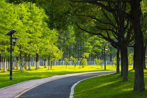 What Are the Core Advantages of Large Flat Panel Street Lights?