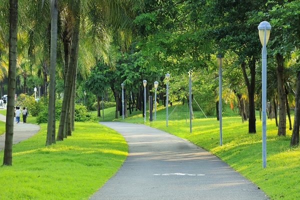 How to Choose a Practical Motion Sensor Street Light?