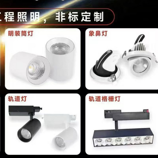节能名装筒灯轨道灯