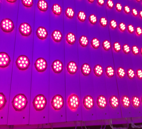 LED户外彩光点光源