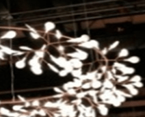 萤火虫叶子吊灯