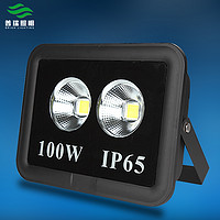 IP65工矿投光灯100W