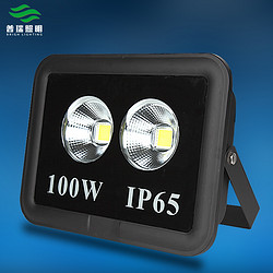 IP65工矿投光灯100W