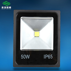 IP65工矿投光灯50W