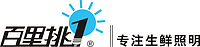 中山市企美照明电器有限公司