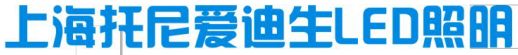 上海托尼爱迪生照明有限公司