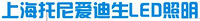上海托尼爱迪生照明有限公司