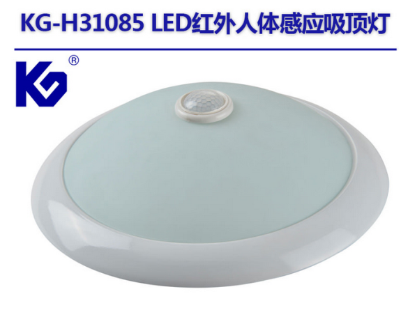 感应吸顶灯