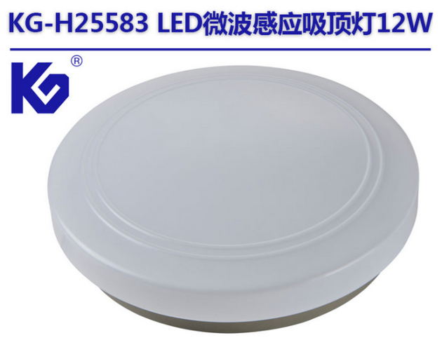 感应吸顶灯