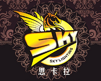 中山市思卡拉灯饰有限公司