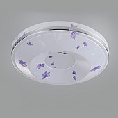 简约卧室圆型银边紫花节能吸顶灯