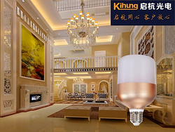 LED 玫瑰金球泡灯