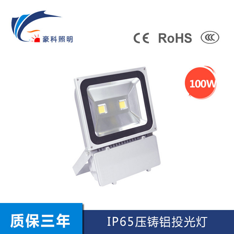 IP65压铸铝投光灯 100W