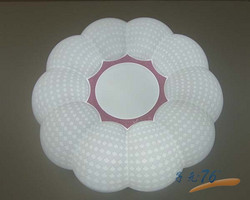 优雅简洁孔雀粉卧室浴室LED吸顶灯