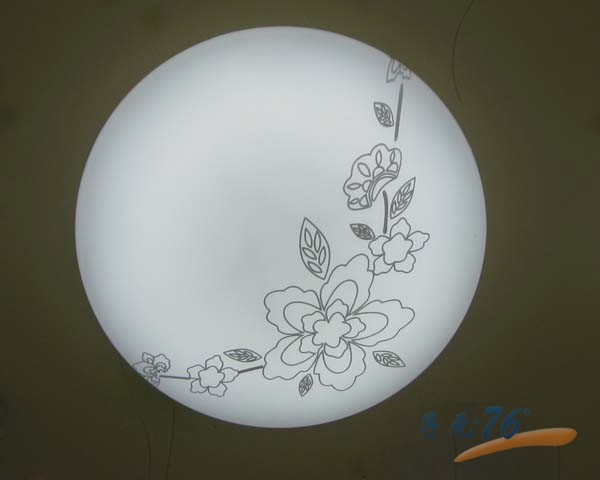 简约优雅银花纹卫生间卧室LED现代吸顶灯