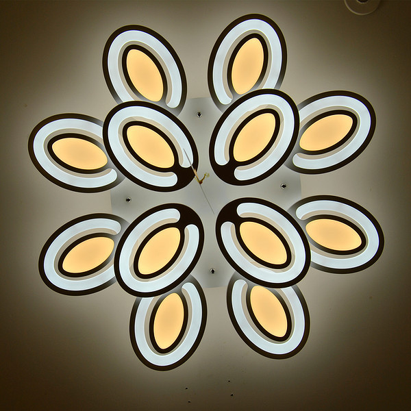 简约个性花朵吸顶灯