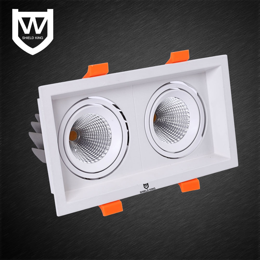 盾王 双头 12W LED筒灯