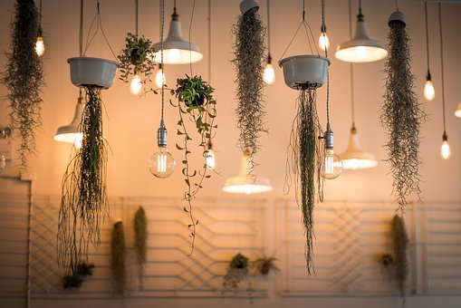 園藝照明領(lǐng)域又一強強聯(lián)手 三安光電供應(yīng)LED芯片