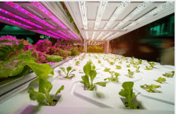 世界首個地下全自動植物工廠亮相日本