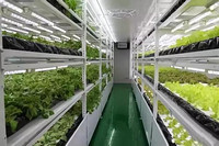 京东自建植物工厂落成，产量高且节水90%以上