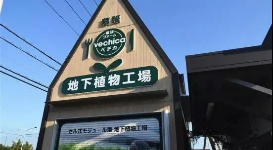 京東自建植物工廠 能否破解植物工廠盈利難問題